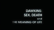 Sex, Death and the Meaning of Life.