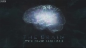 The Brain with David Eagleman.